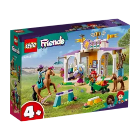41746 HORSE TRAINING