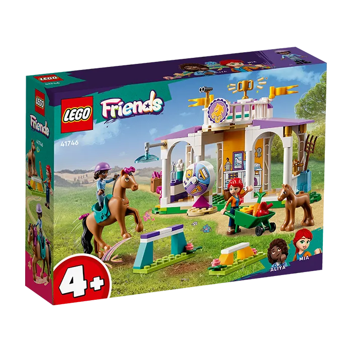 41746 HORSE TRAINING