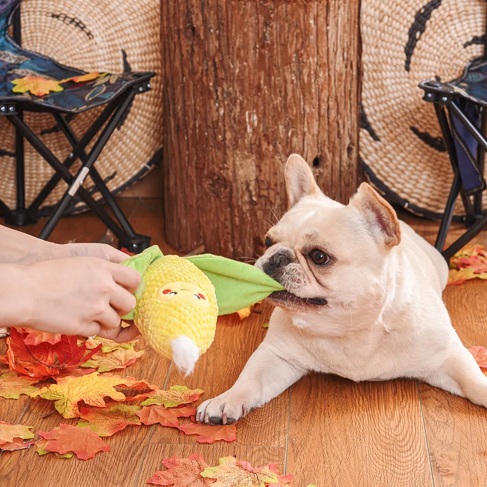 Camping Corn on the Cob Plush Dog Toy
