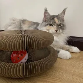 Cat Self-Play Foldable Mushroom Scratcher Tunnel Chaser Ball Toy