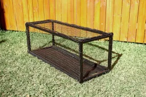 Cat Tunnel