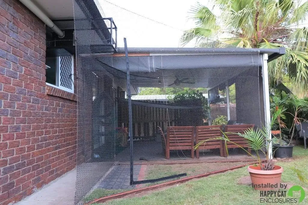 Cat Tunnel