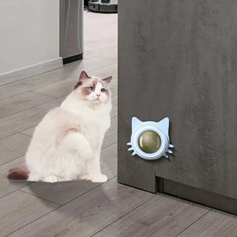 Catnip Wall Toys Rotatable Kitten Chew Toys Teeth Cleaning Cat Bite Toy for Indoor Cats Healthy Removes Balls Interactive Cat