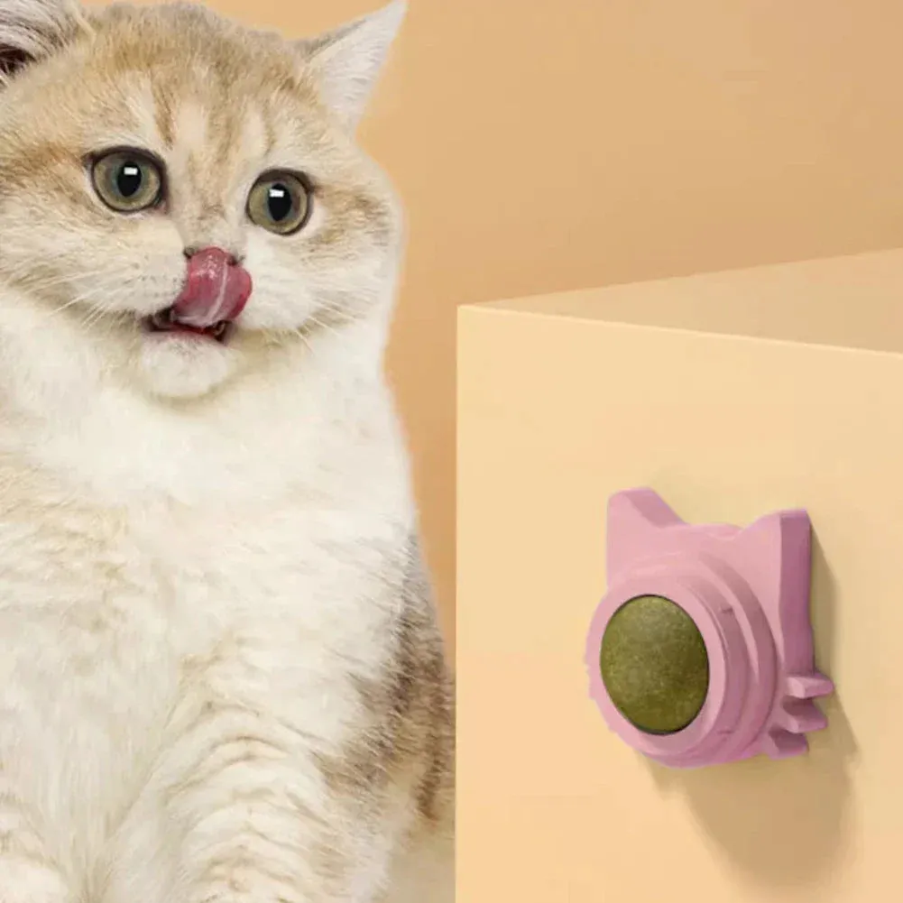 Catnip Wall Toys Rotatable Kitten Chew Toys Teeth Cleaning Cat Bite Toy for Indoor Cats Healthy Removes Balls Interactive Cat