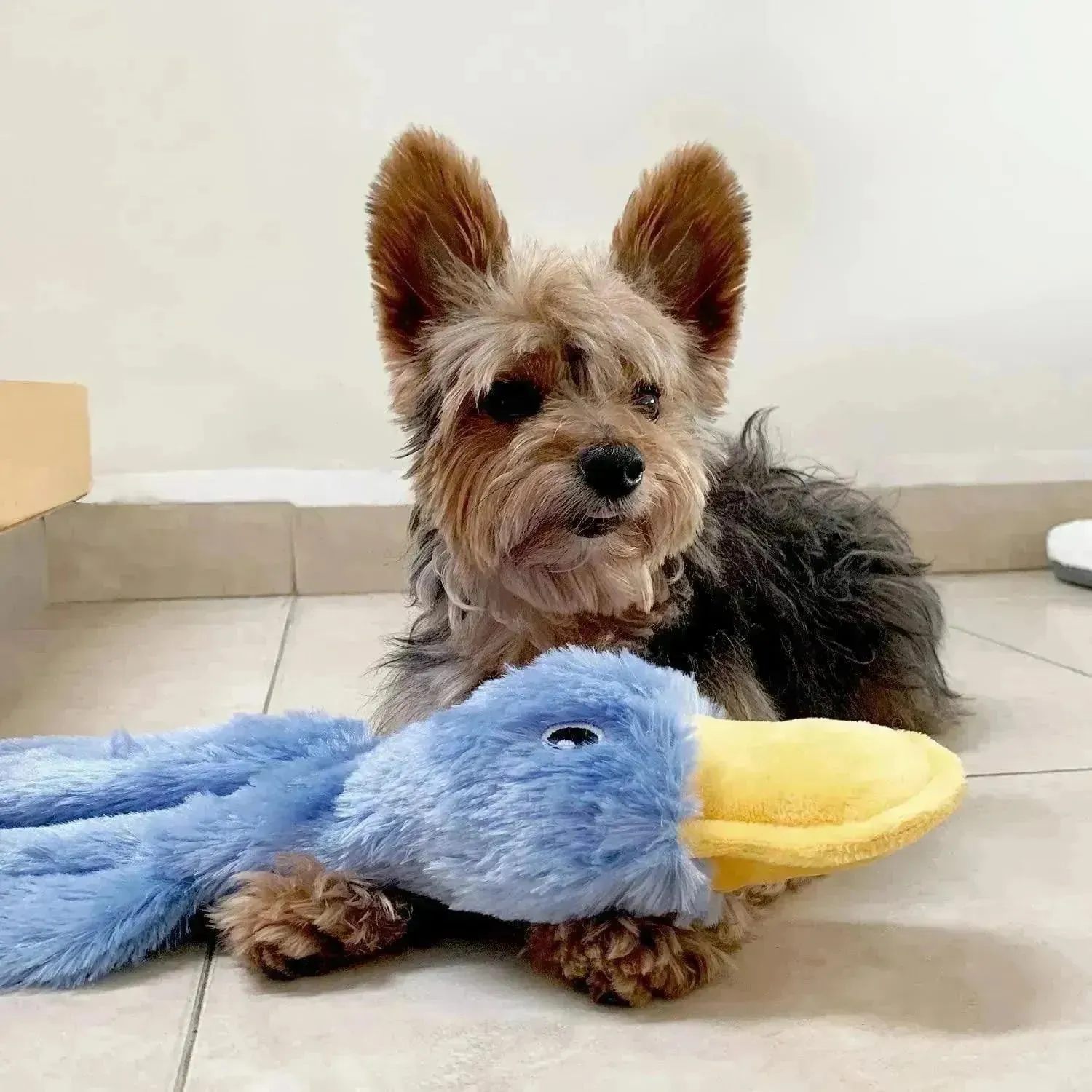Crinkle Dog Toy - No Stuffing Duck, Squeaker, Yellow