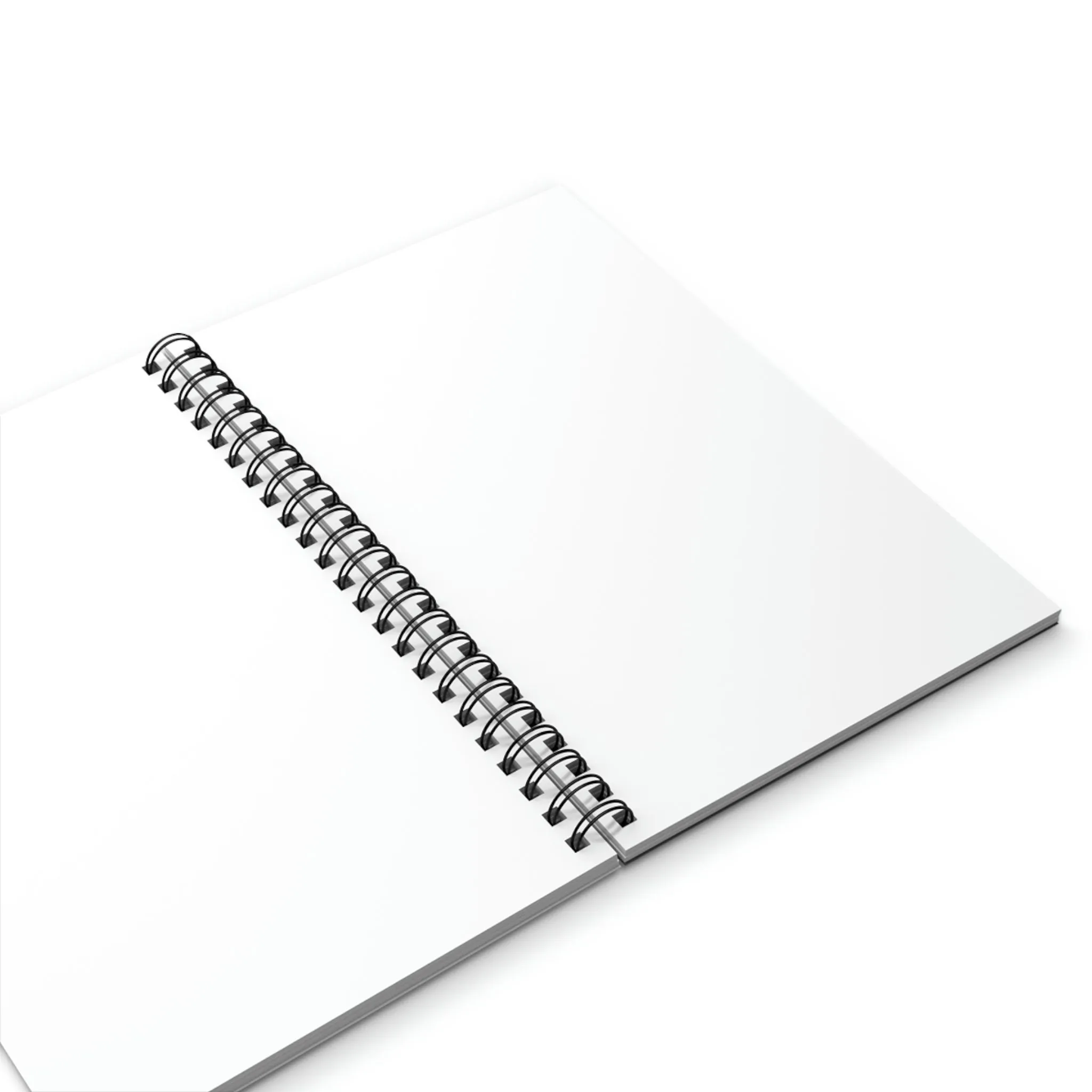 Degus Graphic Novel Cover Spiral Journal Notebook Sketch Book