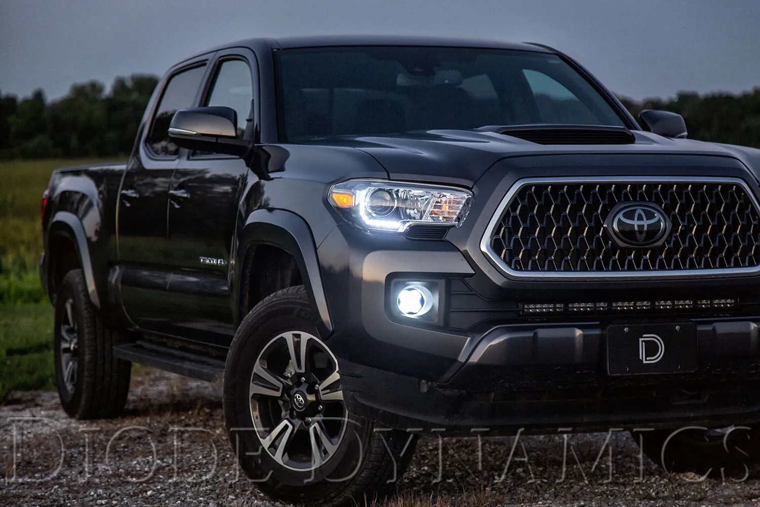 Diode Dynamics - SS3 LED Fog Light Kit - 2016-2019 Toyota Tacoma