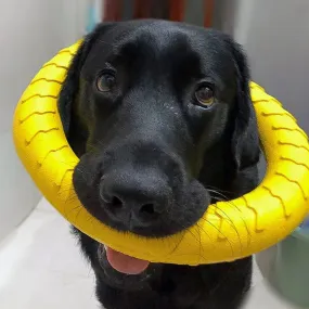 Dog Ring Toys Indestructible Chewing Flying Floating Training Tools Fetch for Small Medium Large Dogs Throwing Catching Flying