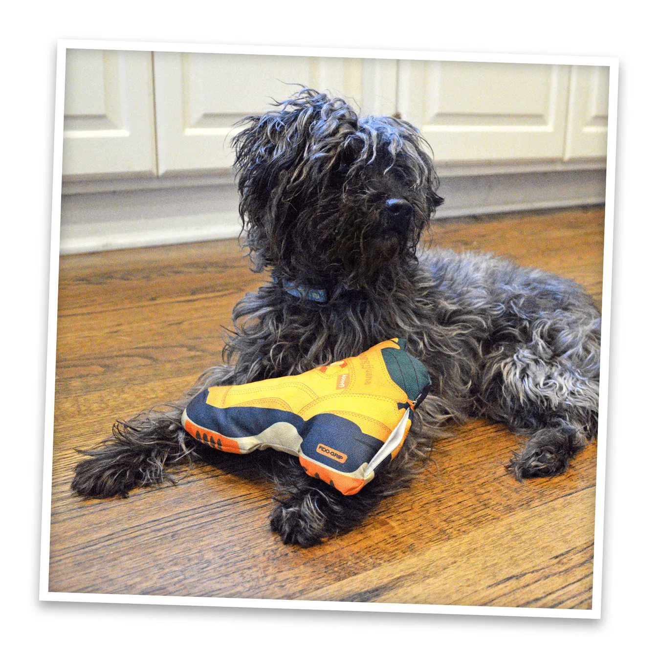 Doggijuana Get Outside Refillable Hiking Boot Toy by SmarterPaw