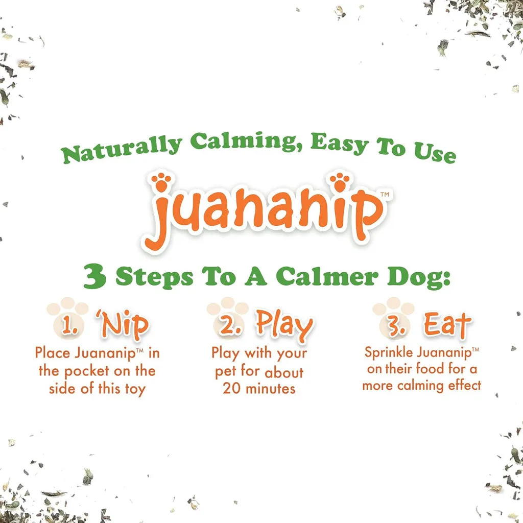 Doggijuana Tuffer Chewer Refillable Juananip Donut Tough Squeaky Dog Plush Toy, 1 count