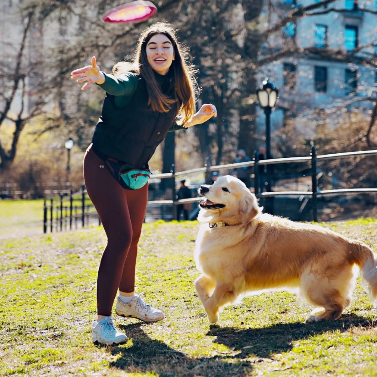 Fetch Dog Toy: Goat Sport Flyer