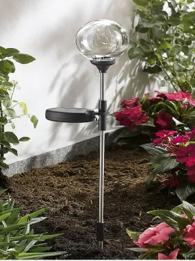 Garden Solar Transparent Led Light