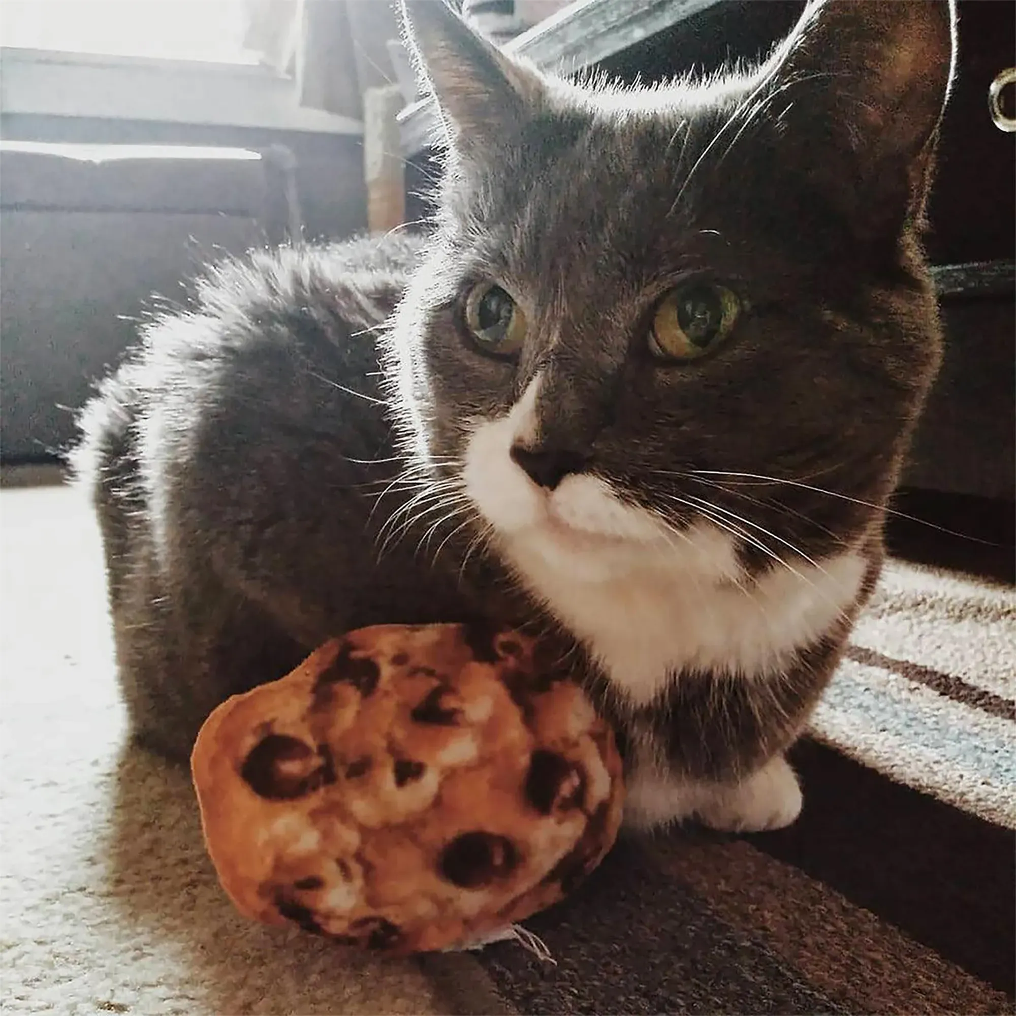 Get Baked Cookie Refillable Cat Toy