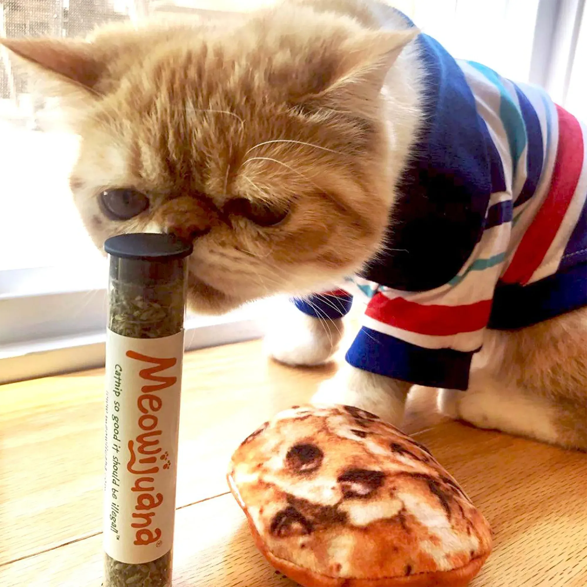 Get Baked Cookie Refillable Cat Toy