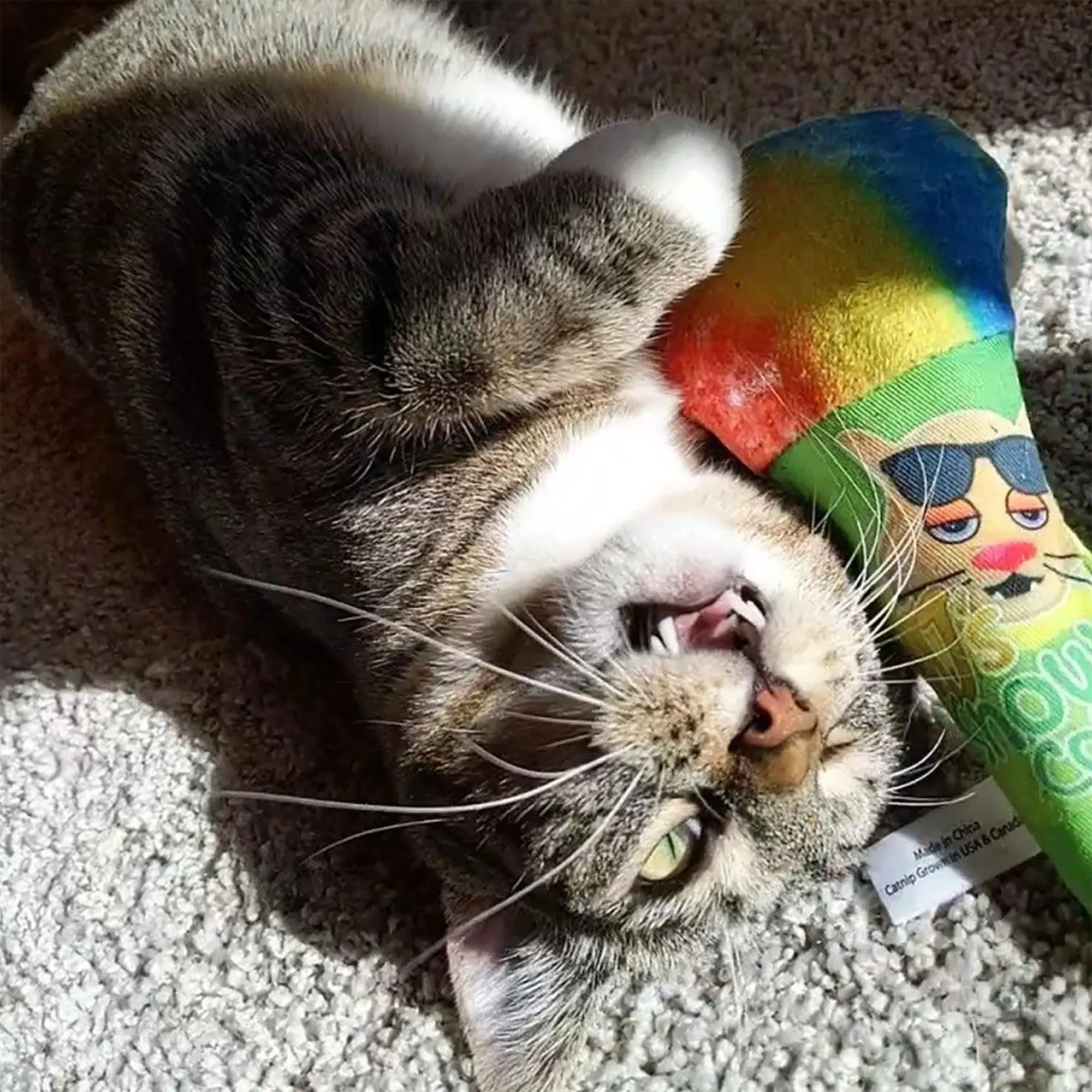 Get Chilled Snow Cone Refillable Cat Toy