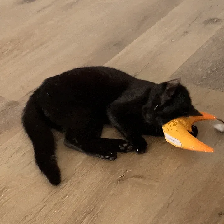 Get Hung Moon and Stars Refillable Cat Toy