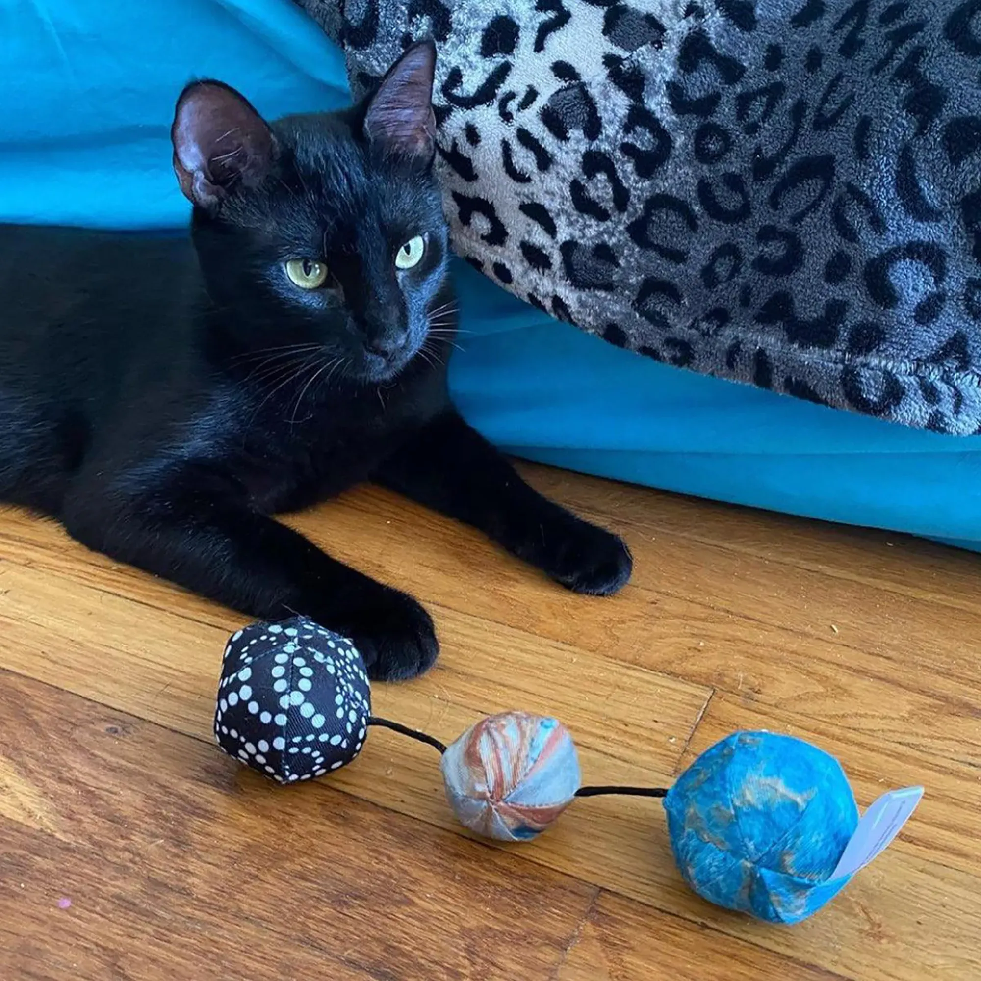 Get Rocked String of Stones Cat Toy
