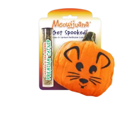 Get Spooked Pumpkin Refillable Cat Toy