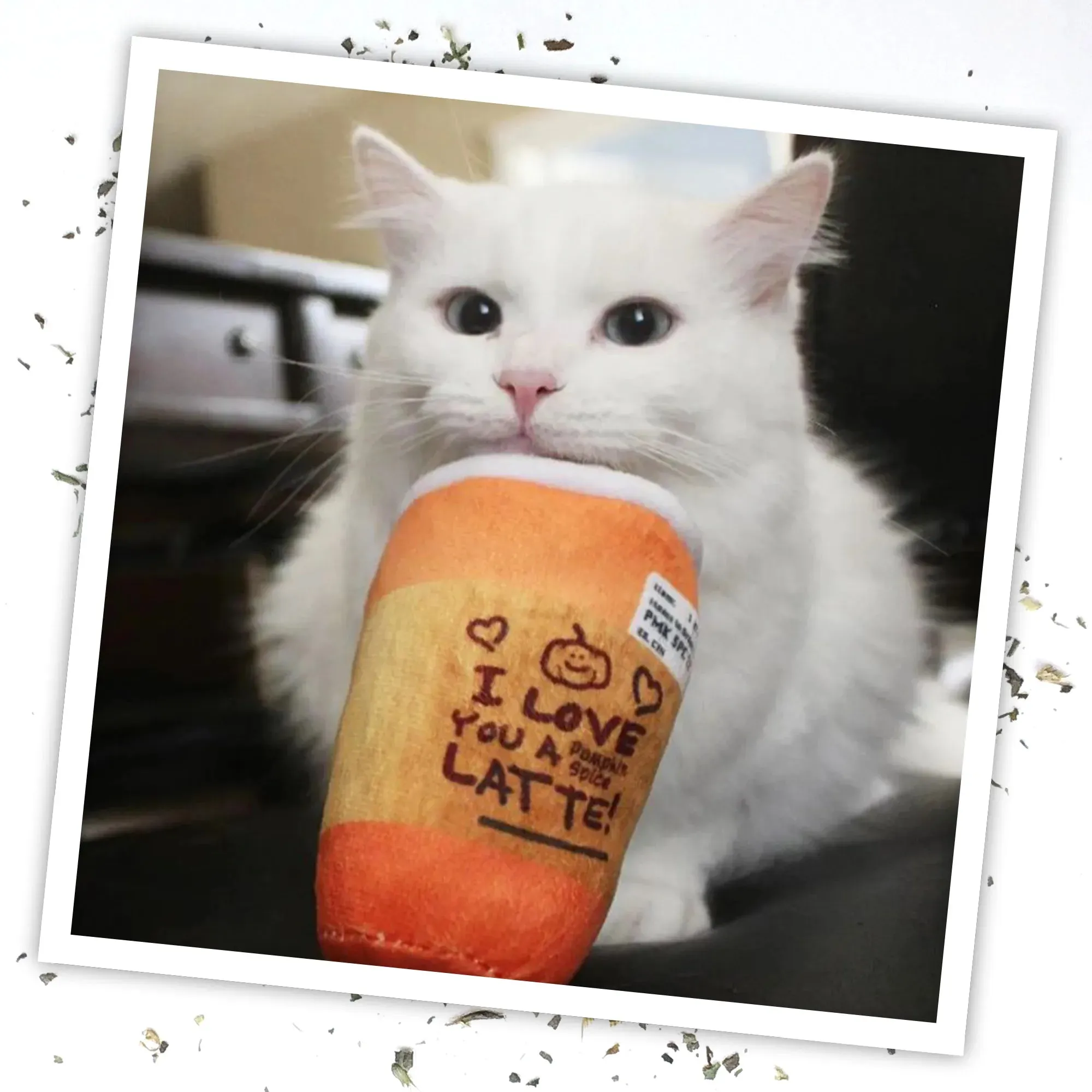 Get Spooked Pumpkin Spice Latte Refillable Cat Toy