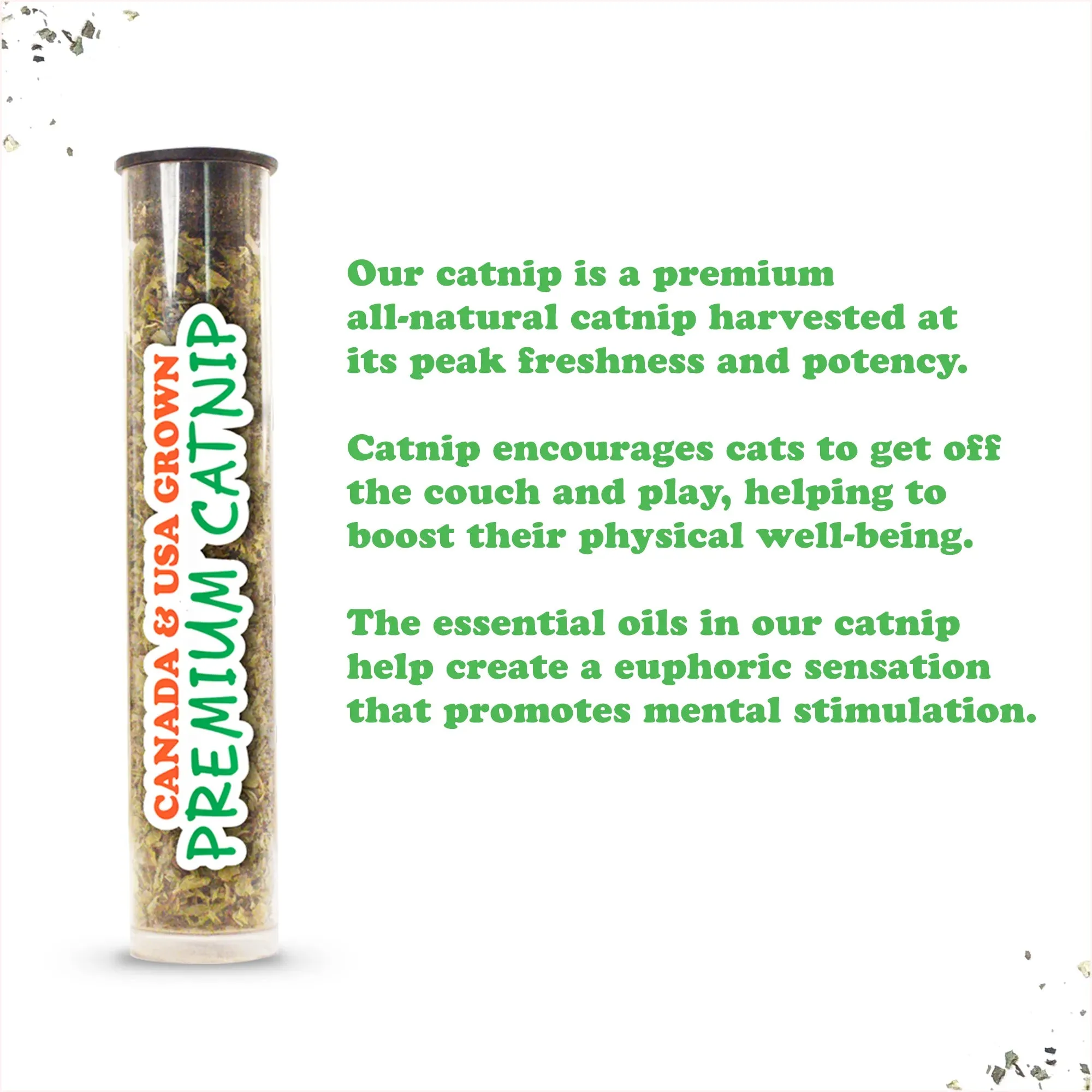 Get Sprung Caterpillar Refillable Cat Toy