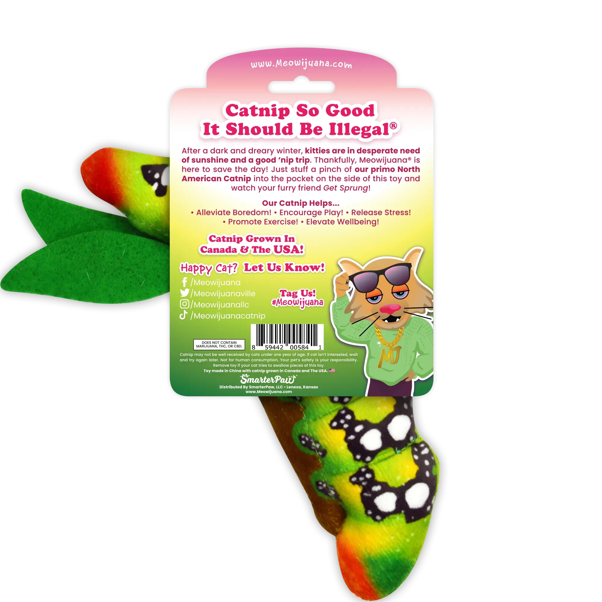Get Sprung Caterpillar Refillable Cat Toy