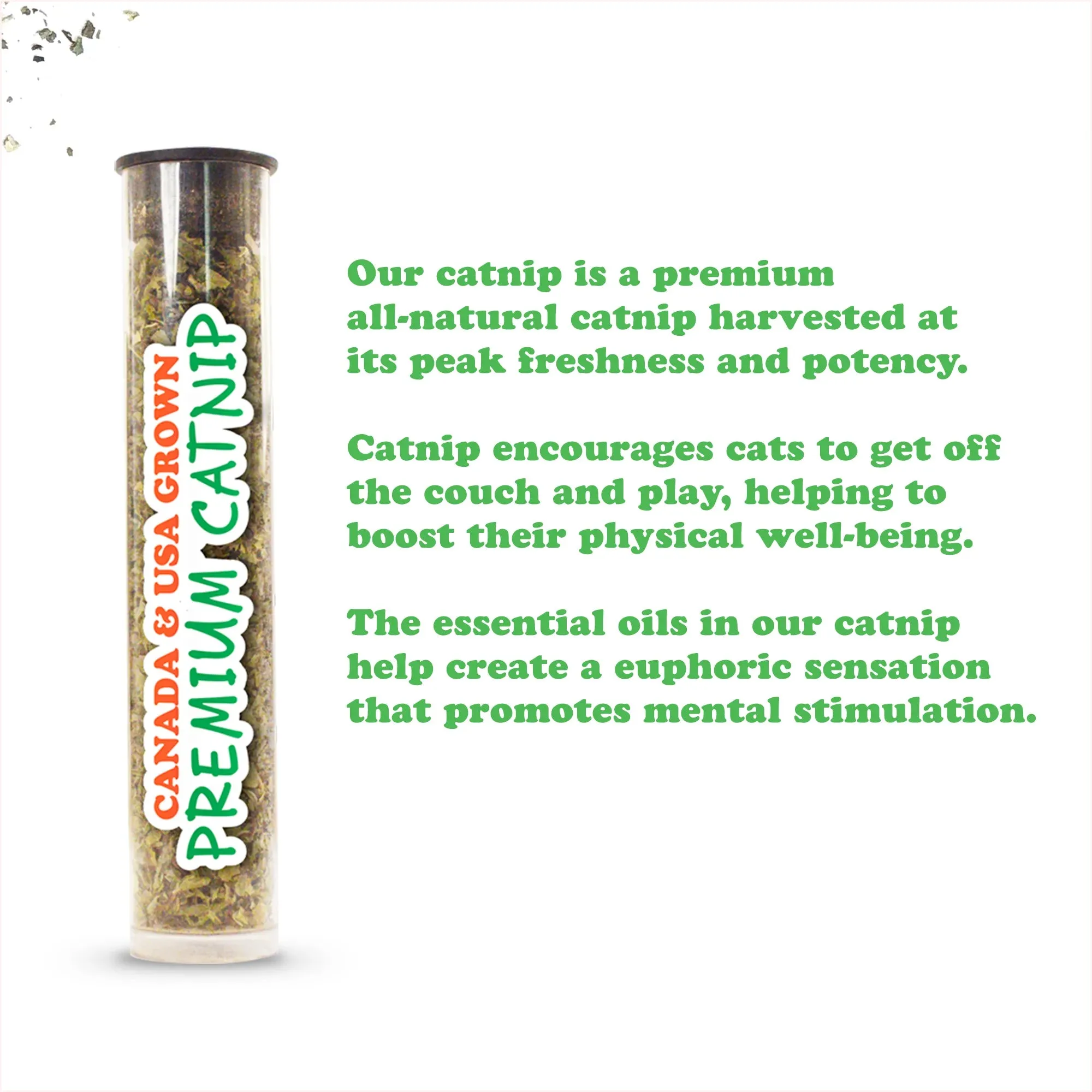 Get Sprung Duckling Refillable Cat Toy