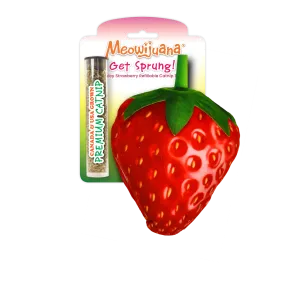 Get Sprung Strawberry Refillable Cat Toy