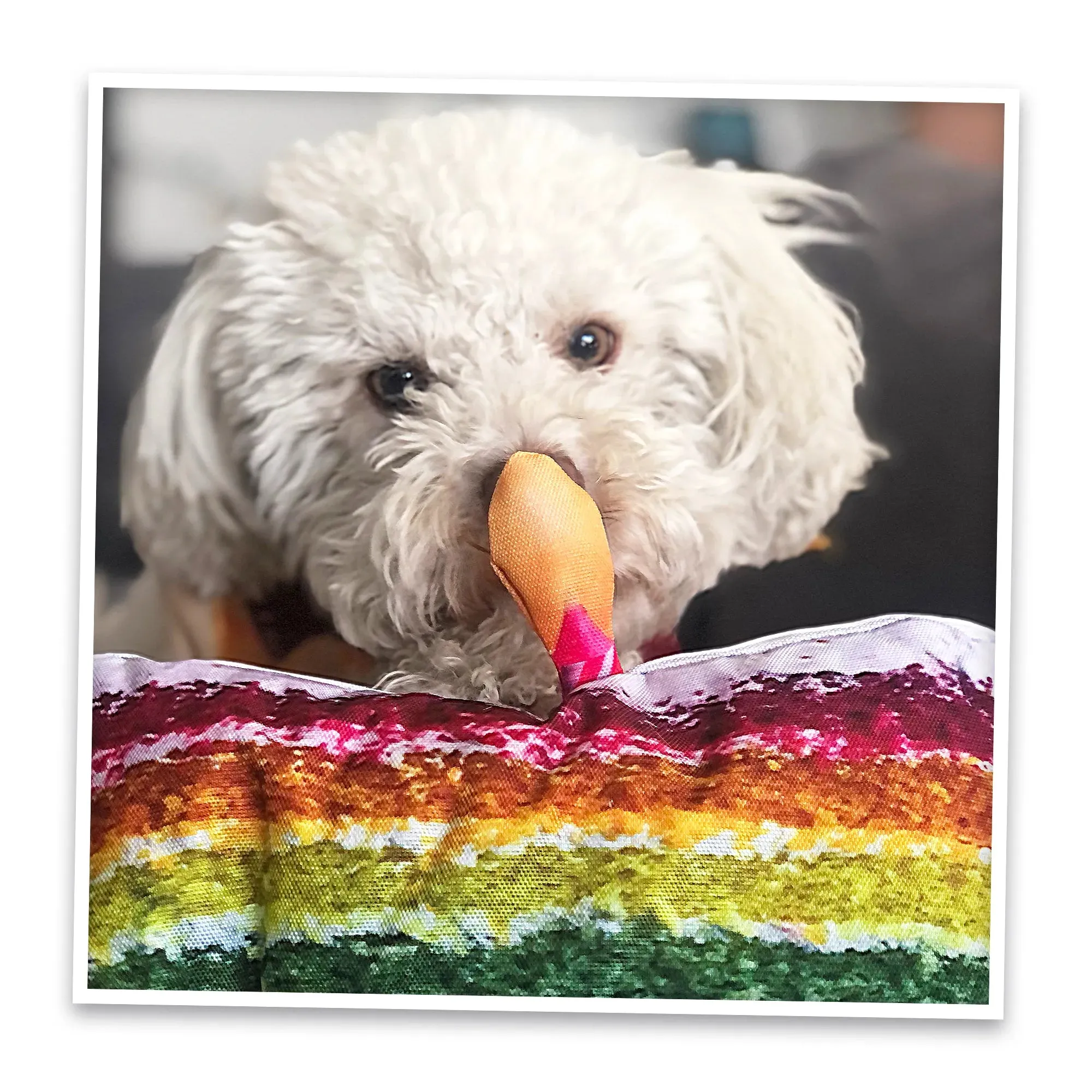 Get the Pawty Started Refillable Cake Slice Toy