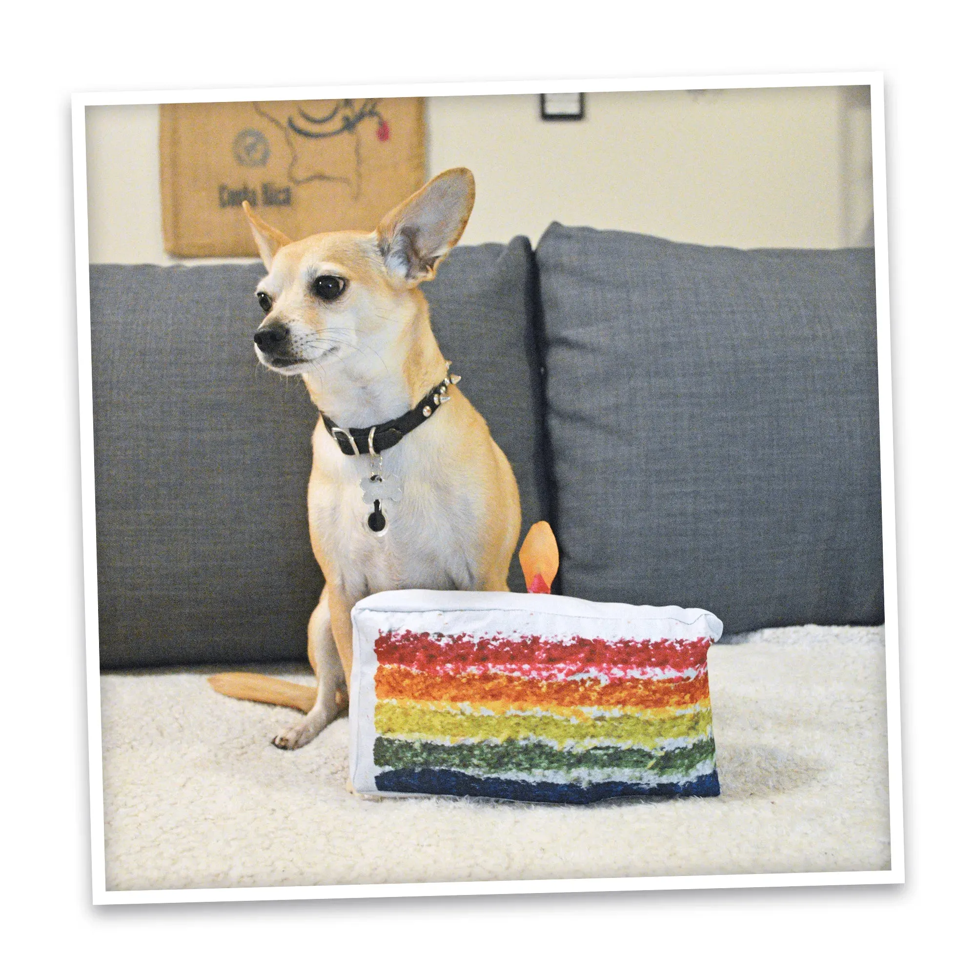 Get the Pawty Started Refillable Cake Slice Toy