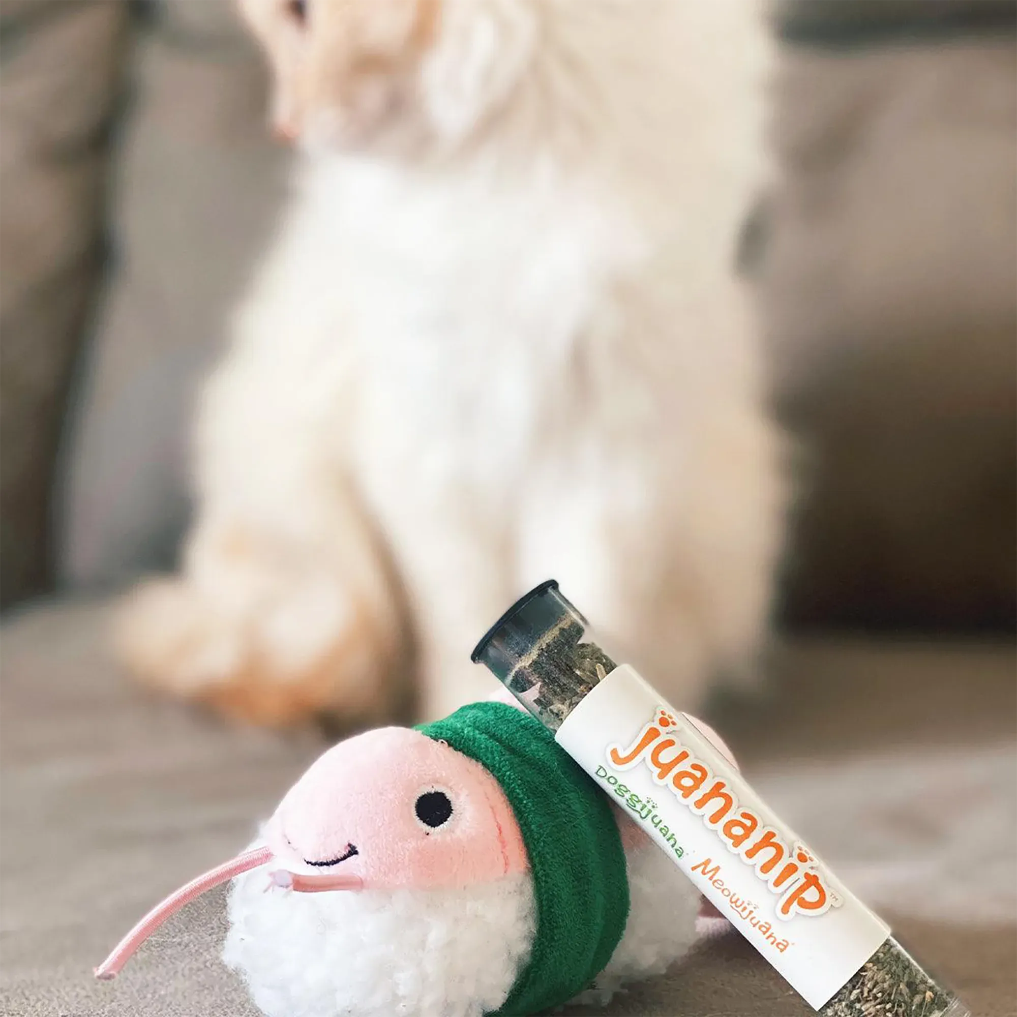 Get Wrapped Shrimp Sushi Roll Refillable Cat Toy