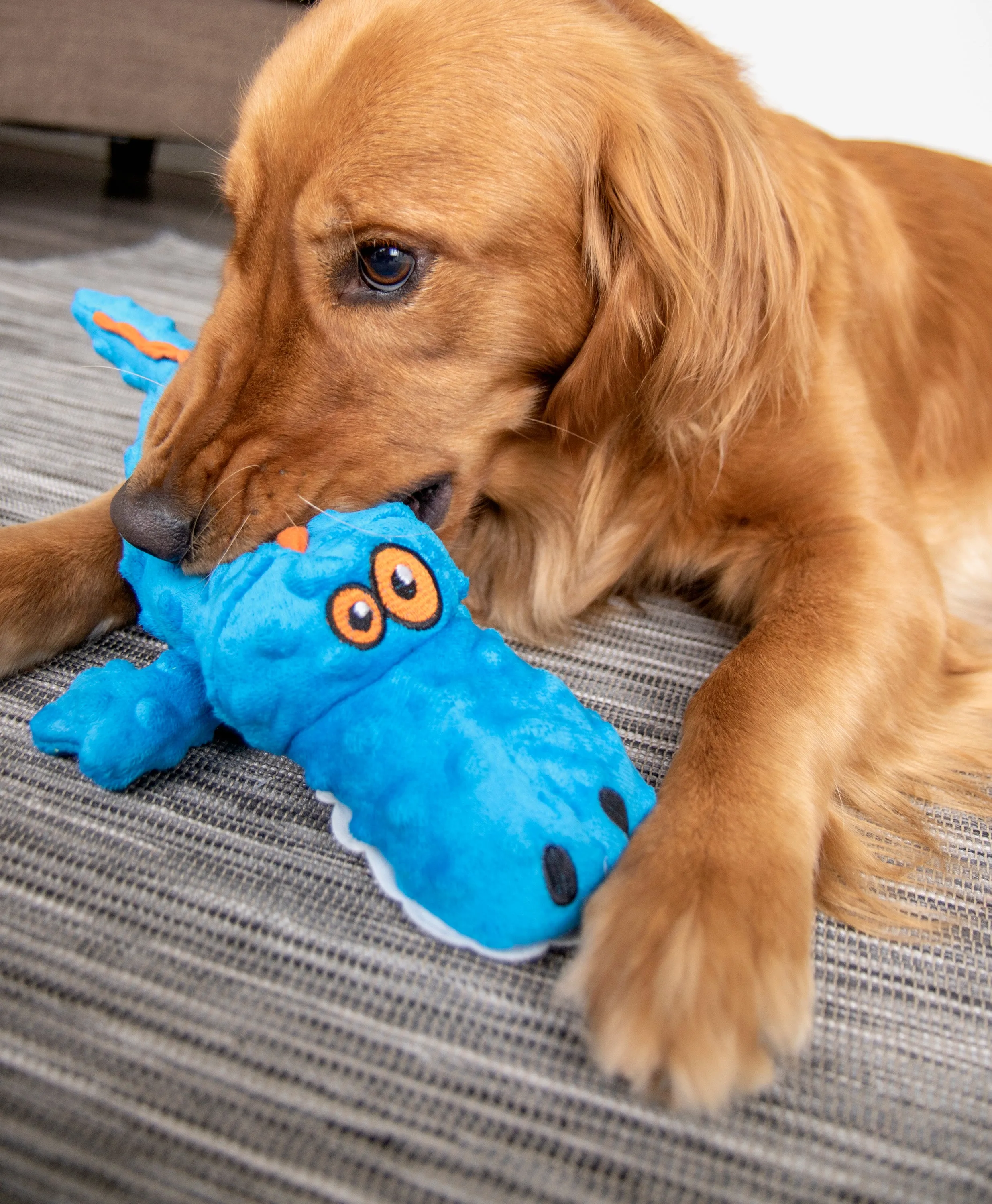 goDog - PlayClean Gator Squeaker Plush Dog Toy