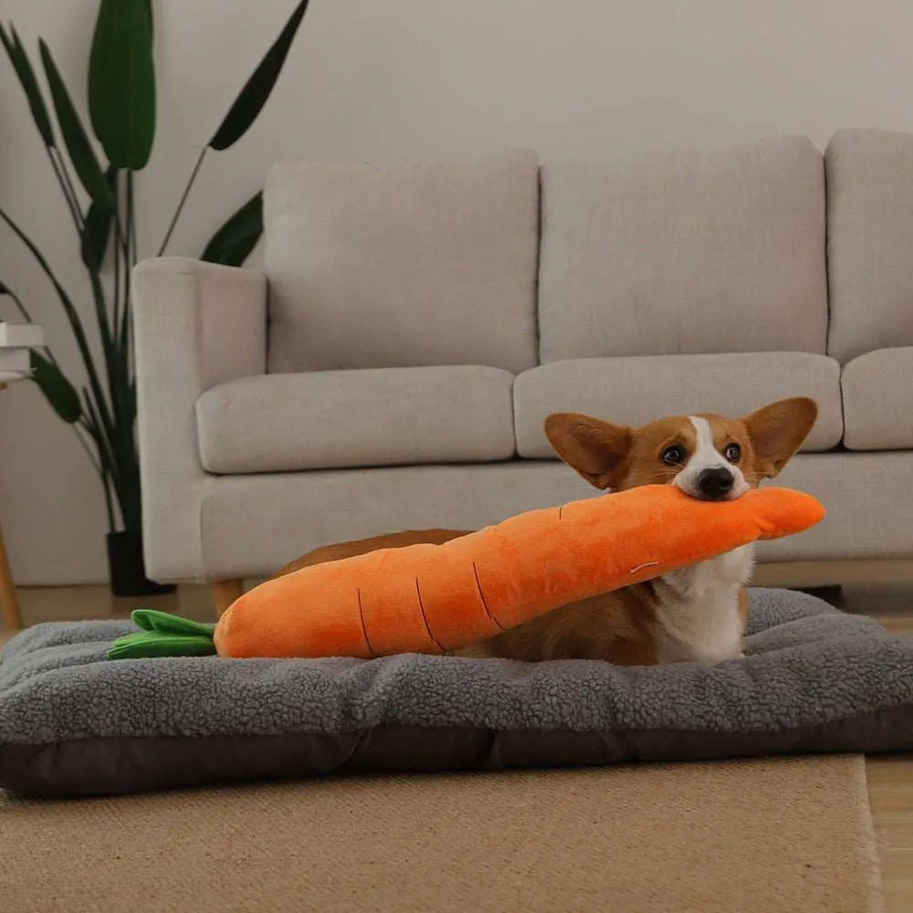 Kawaii Carrot Dog Toy
