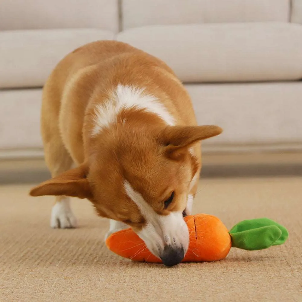 Kawaii Carrot Dog Toy