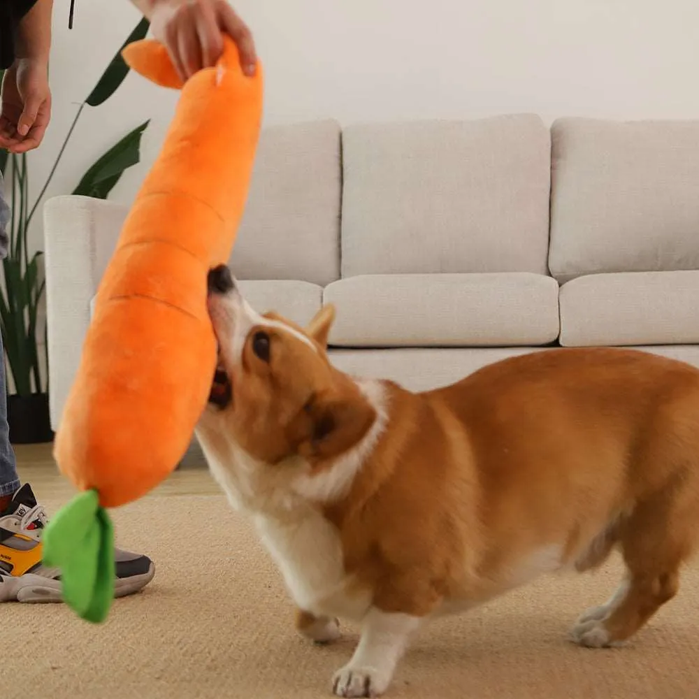 Kawaii Carrot Dog Toy