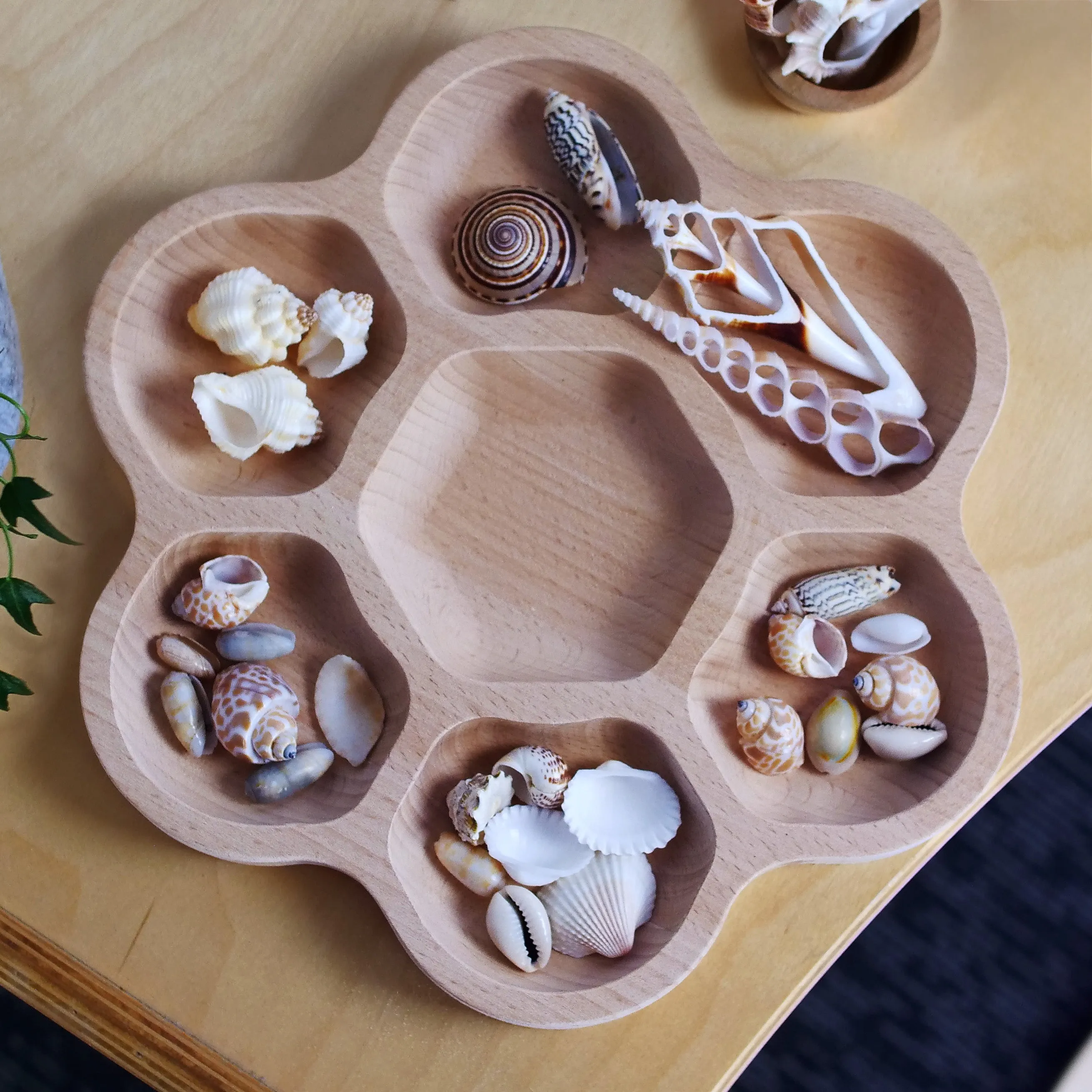 Kodo Enhancing Discovery Basic Kit