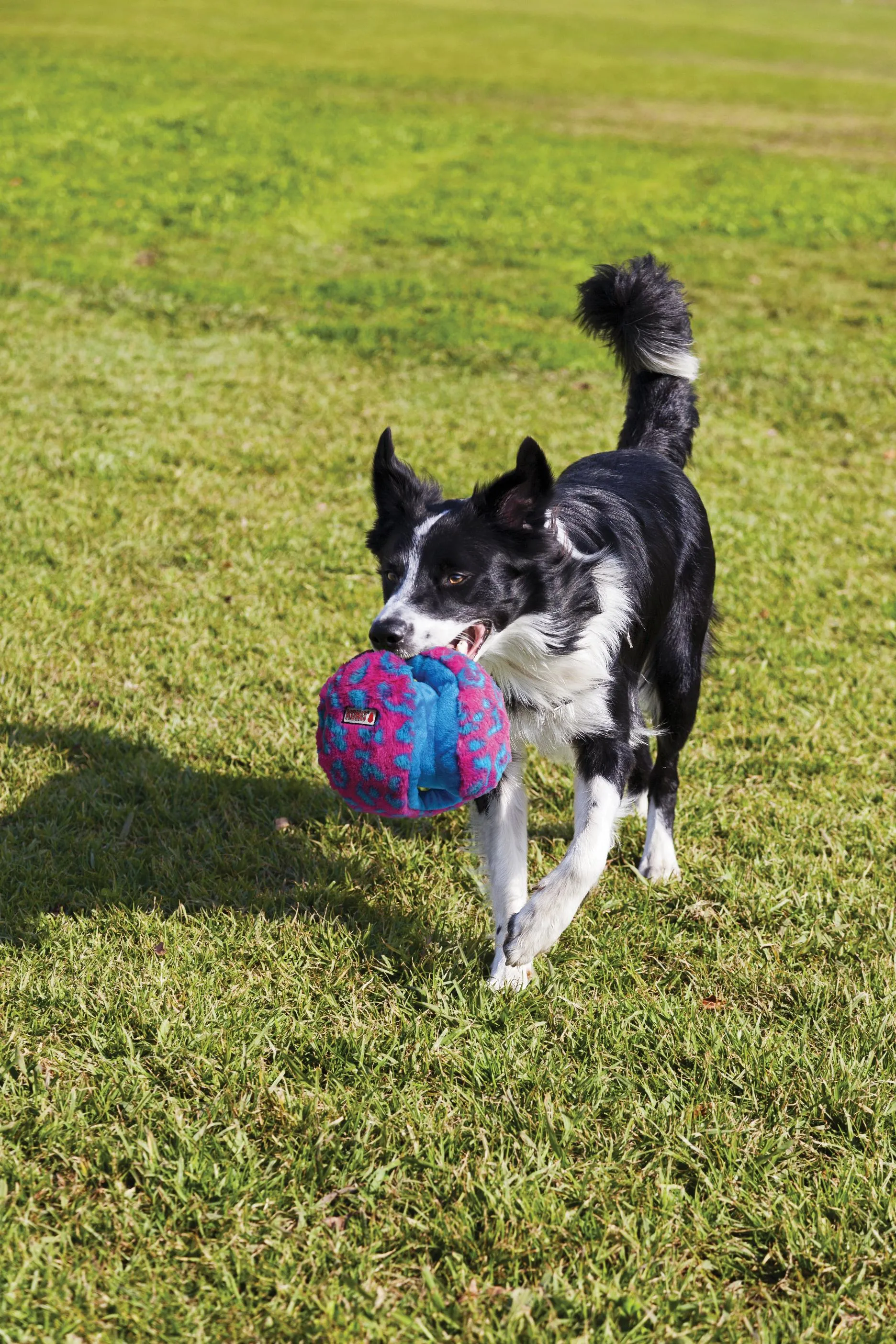KONG Funzler Dog Toy Green/Blue