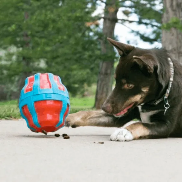 KONG Spinner Refillable Treat Dispenser Toy