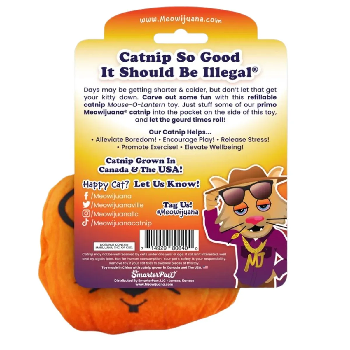 MeowIjuana Get Spooked Pumpkin Refillable Cat Toy