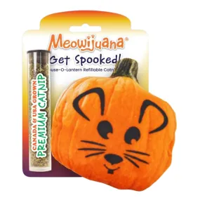 MeowIjuana Get Spooked Pumpkin Refillable Cat Toy