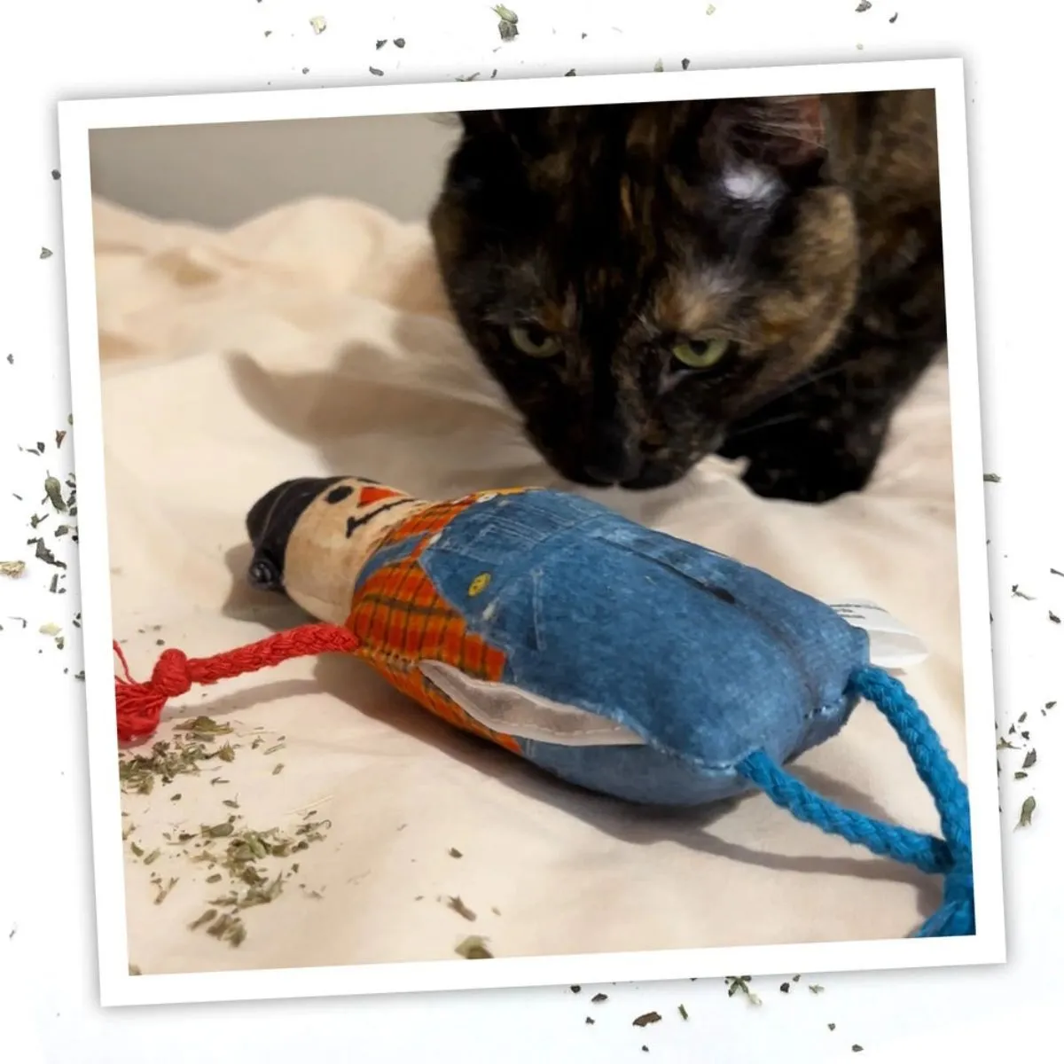 MeowIjuana Get Spooked Scarecrow Refillable Cat Toy