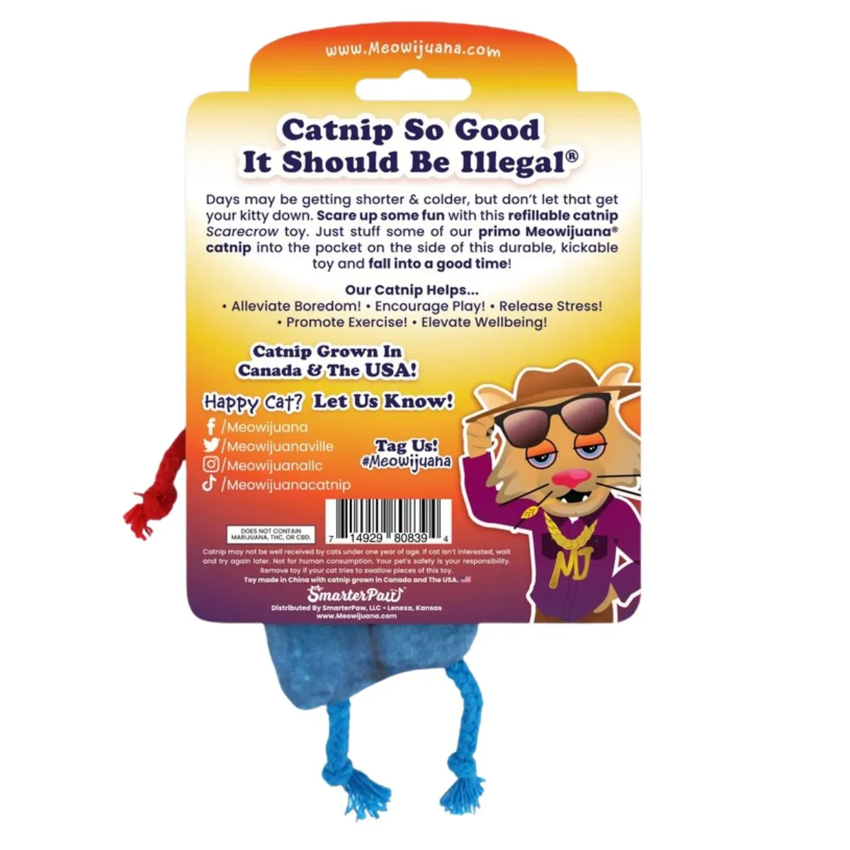 MeowIjuana Get Spooked Scarecrow Refillable Cat Toy