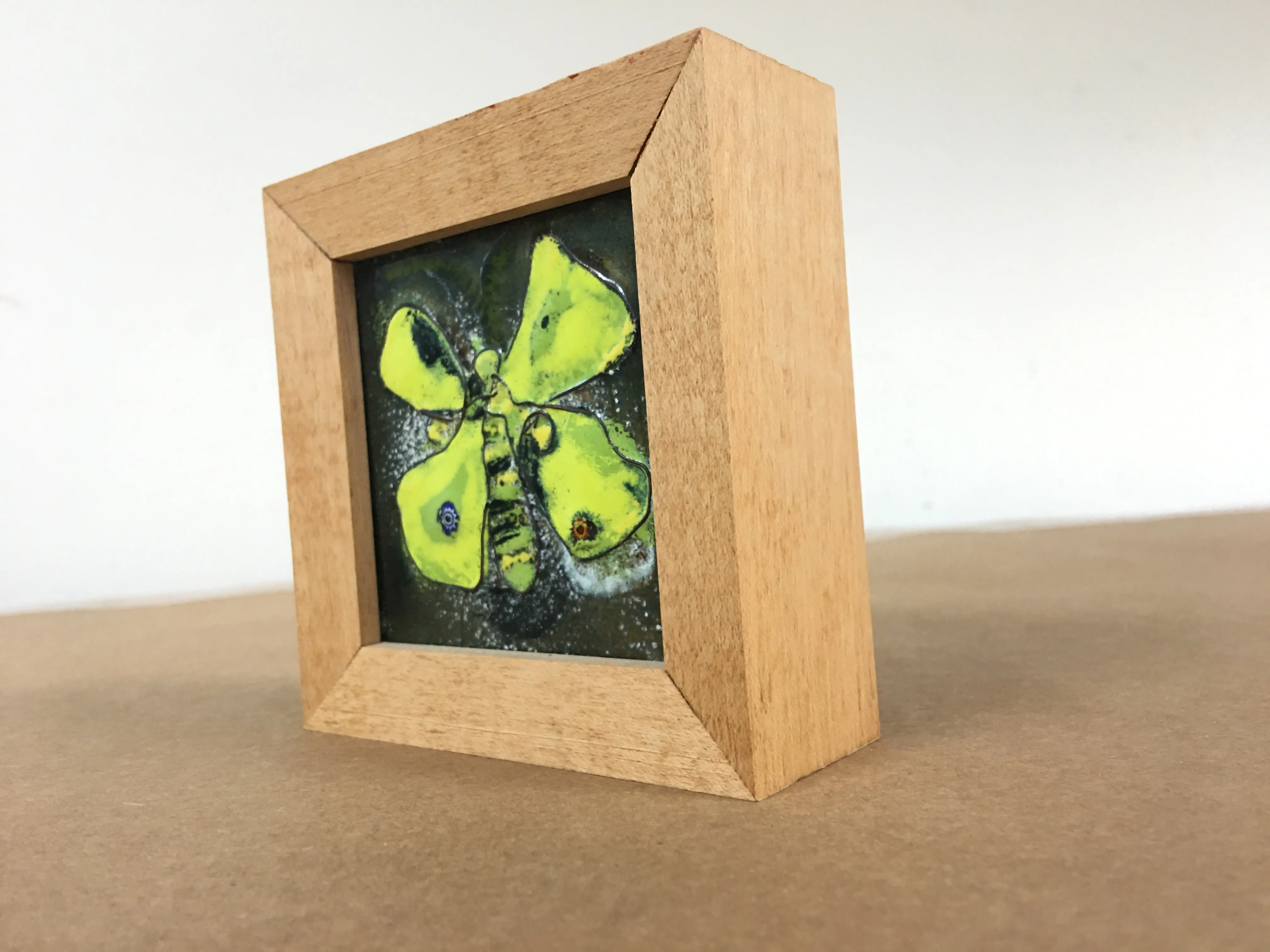 Moth by Loretta Markell