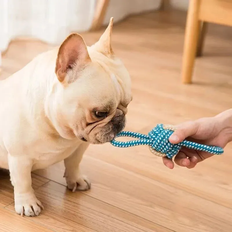 Pet Dog Toys for Large Small Dogs Toy InteractiveCotton Rope Mini Dog Toys Ball for DogsAccessories Toothbrush Chew Puppy Toy