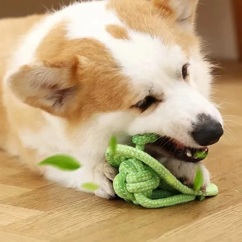 Pet Dog Toys for Large Small Dogs Toy InteractiveCotton Rope Mini Dog Toys Ball for DogsAccessories Toothbrush Chew Puppy Toy