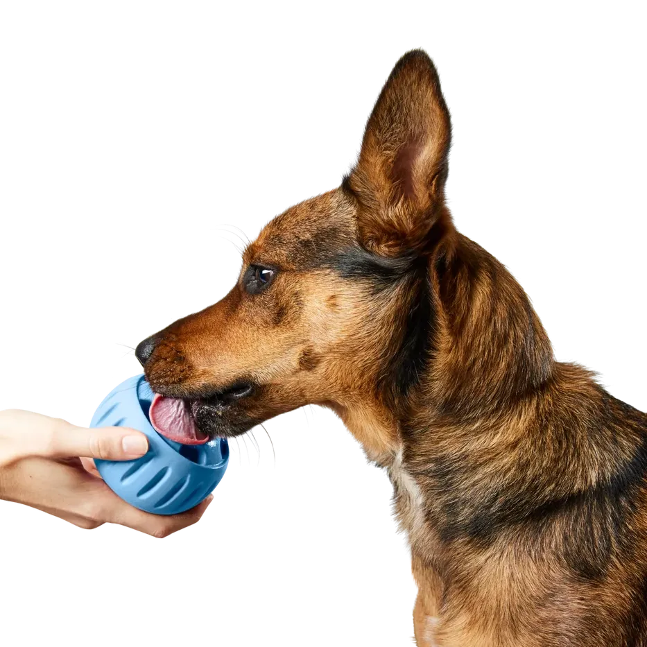 Pupsicle