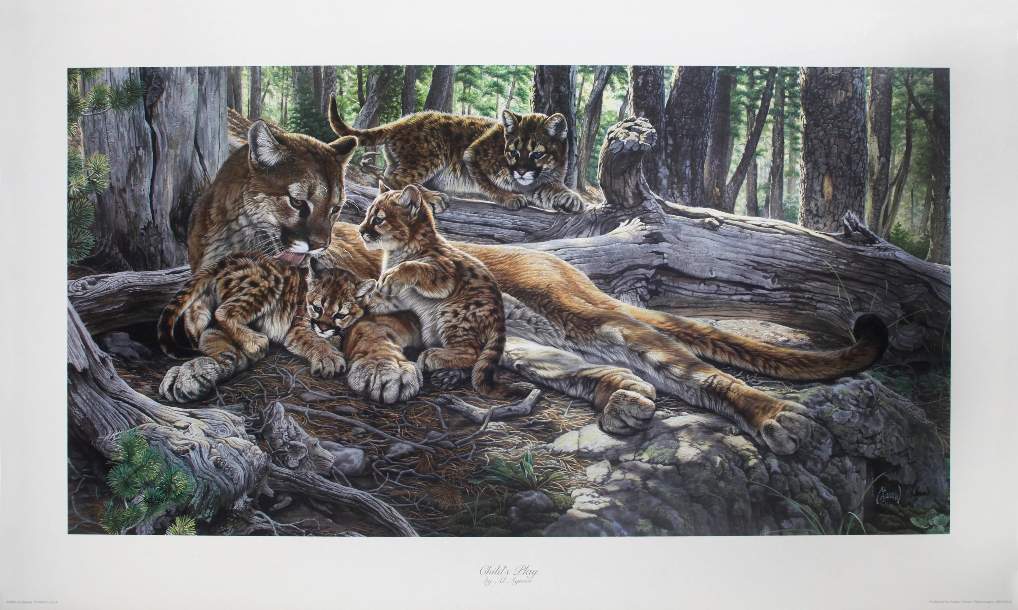 "Child's Play" by Al Agnew