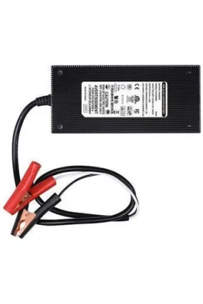 Renogy 12V 20A AC-to-DC LFP Portable Battery Charger