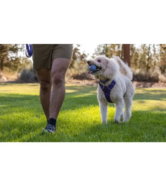 Ruffwear Turnup™ Interactive Rubber Throw Dog Toy (Campfire Orange)