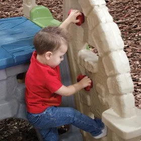 Step2 Alpine Ridge Climber and Slide