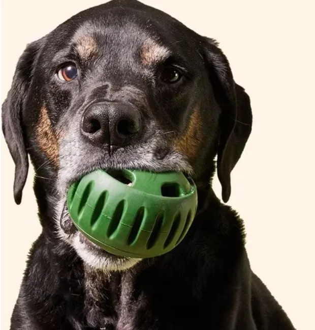 Woof "The Pupsicle" Lickable Treat Dispenser Toy - Large Dog